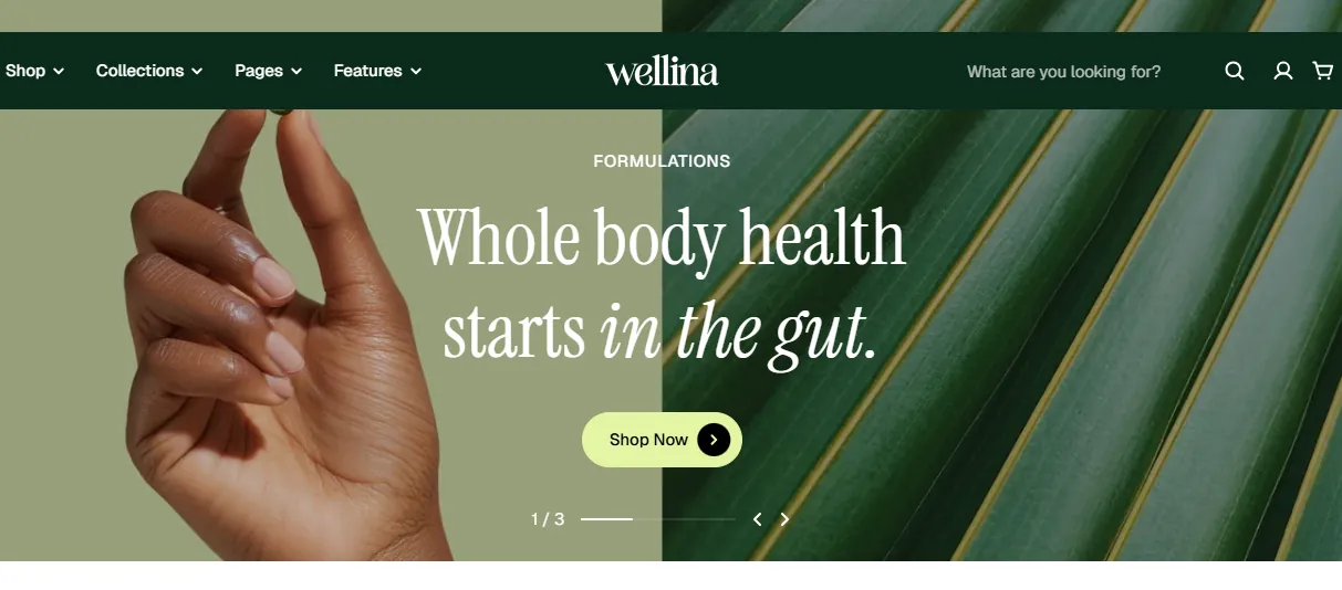 wellina